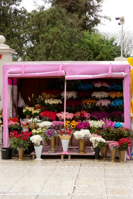 A vibrant display of fresh flowers arranged in bouquets at a flower stall with a pink canopy, situated outdoors on a paved area. The arrangement features a variety of flower types including roses, dai